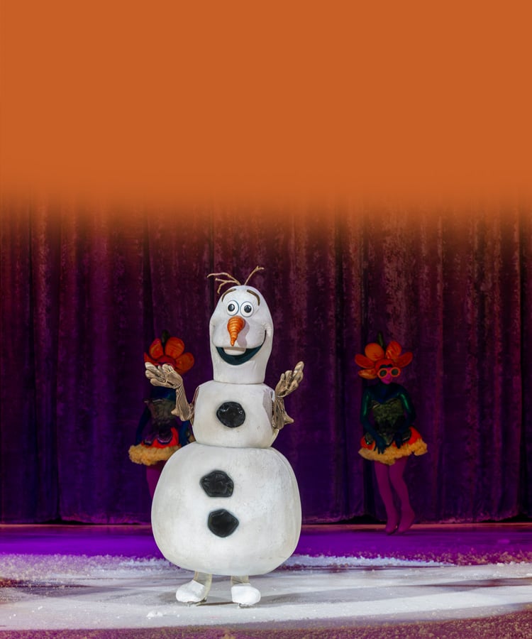<em>Disney On Ice</em>