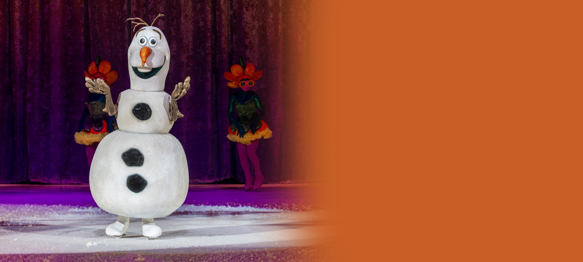 <em>Disney On Ice</em>