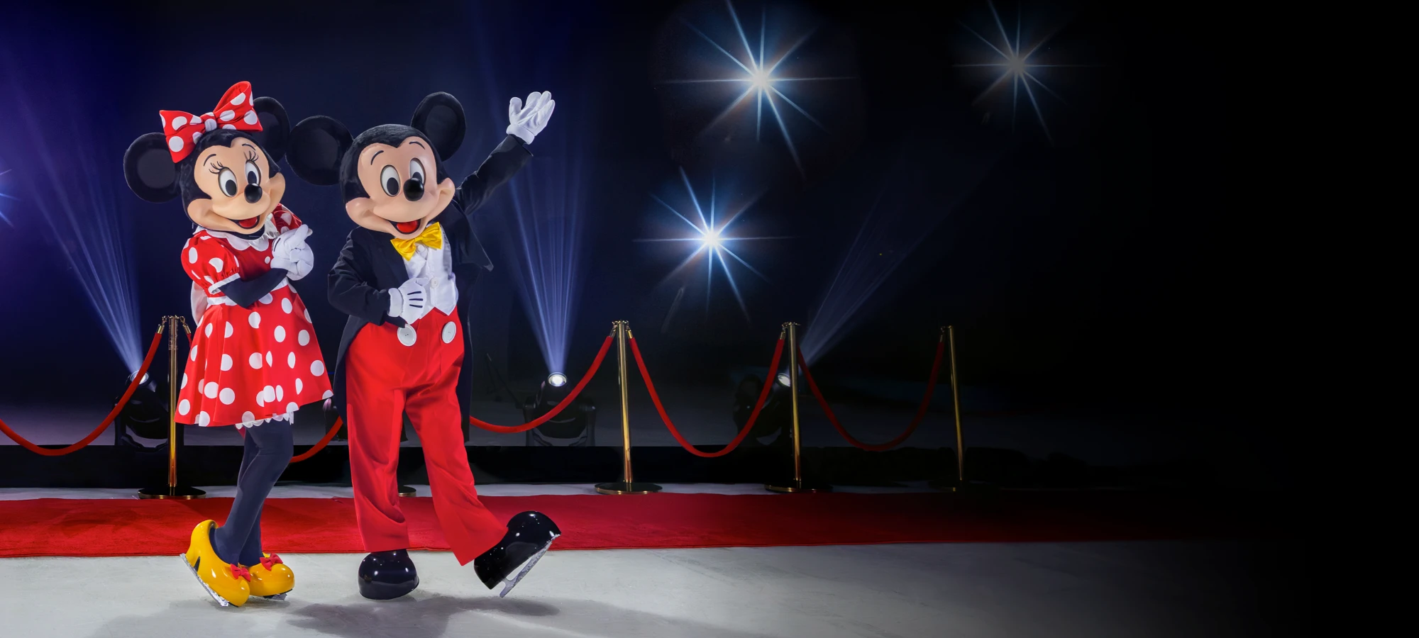<em>Disney On Ice</em>