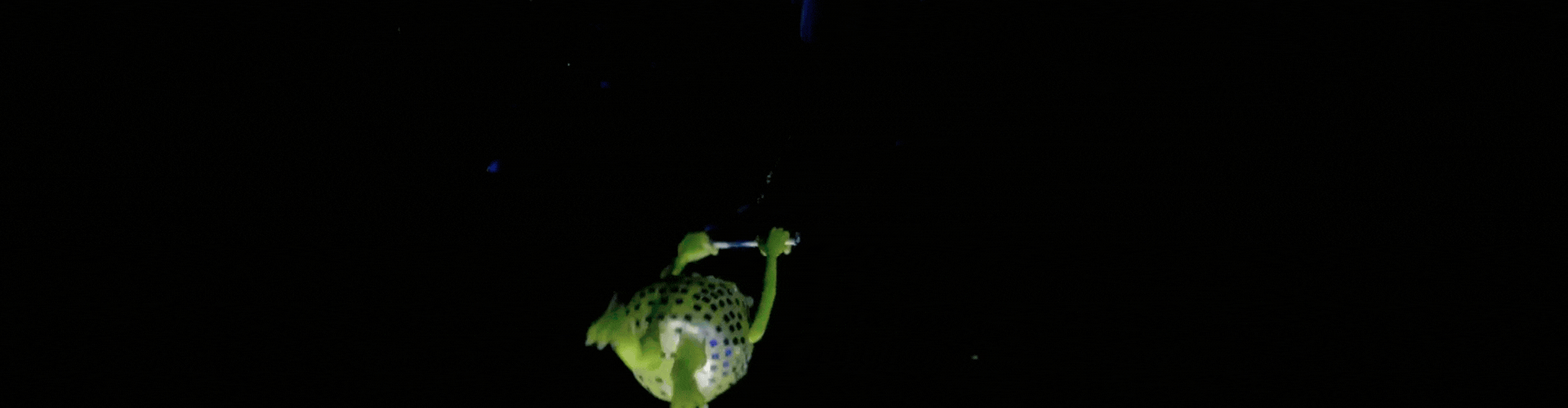 The Internet Can’t Get Enough of Mike Wazowski’s Epic <em>Disney On Ice </em> Moment